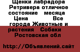 Щенки лабрадора Ретривера отличное состояние 2 месяца › Цена ­ 30 000 - Все города Животные и растения » Собаки   . Ростовская обл.